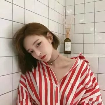 科搜研之女第20季